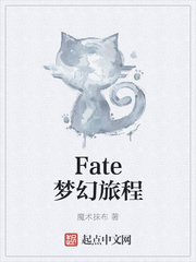 FATE梦幻旅程小说免费阅读